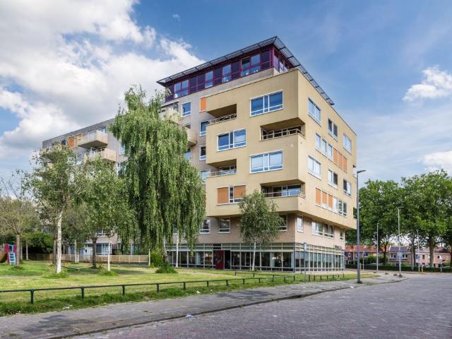 Lotustuin, Rotterdam