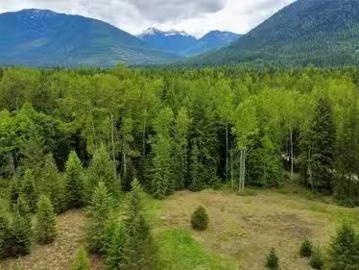 Lot 3 & 4 Robazzo Road, Burton, BC, V0G 1R0 vacant land for.