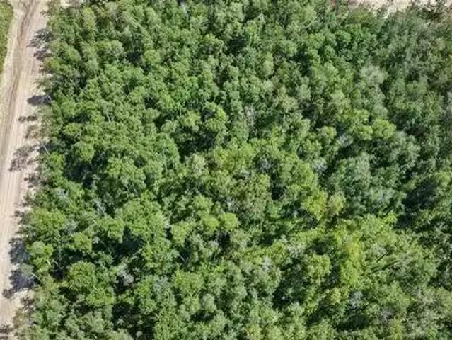 Lot 3 Block 4 South Shore Lane, Meeting Lake, SK, S0M 2L0 va.