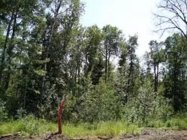 Lot 3 Blk 5 Lakeside Drive, Perch Lake, SK, S0M 2G0 vacant l.