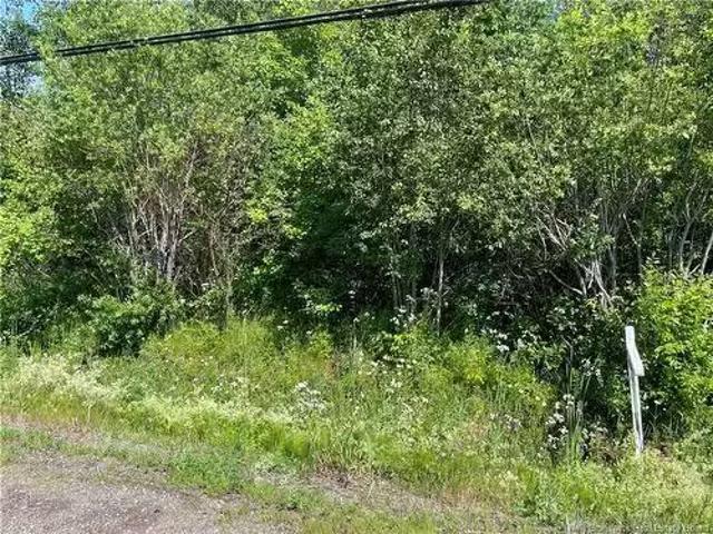 Lot 3 Communication Rd, Irishtown, NB, E1H 2G5 vacant land f.