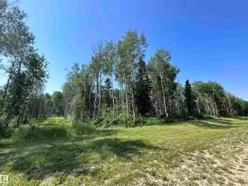 Lot 3 Forest Road Rr 214, Rural Athabasca County, AB, T9S 1C.