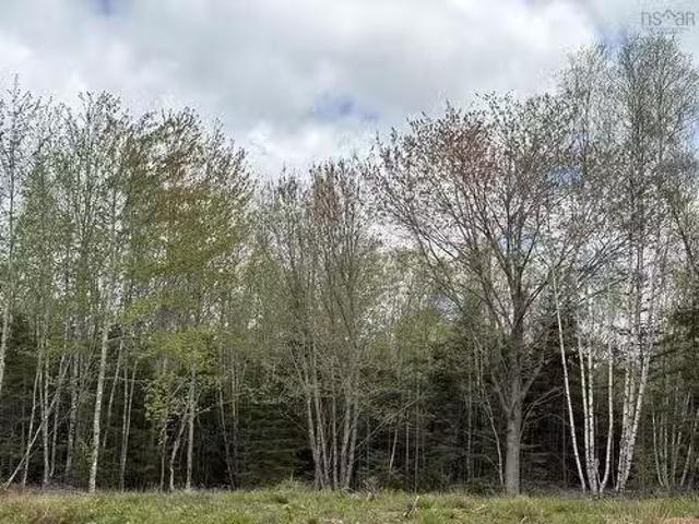 Lot 3 Highway 14, Upper Nine Mile River, NS, B2S 2Z3 vacant.