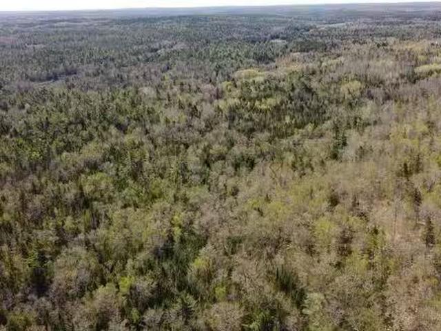 Lot 3 Highway 10, Albany, NS, B0S 1P0 vacant land for sale.