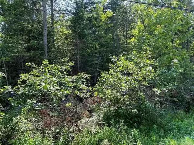 Lot 3 Route 490, Mcquade, NB, E1G 3J4 vacant land for sale.