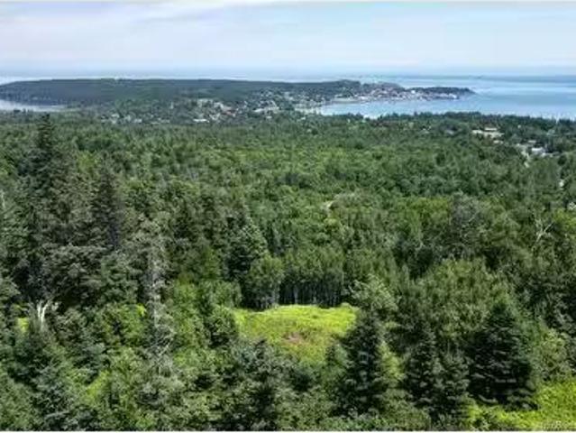 Lot 04 01 Green St, Grand Manan, NB, E5G 4B8 vacant land for.
