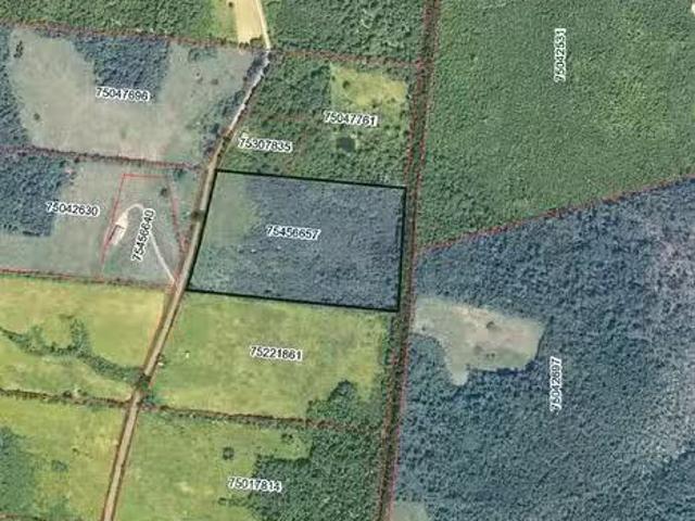 Lot 09 02 Trueman Graham Rd, Harvey, NB, E6K 1B5 vacant land.