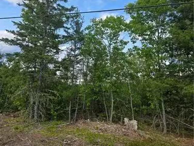 Lot 09 15 Route 105, Jemseg, NB, E4C 3K7 vacant land for sal.