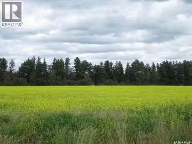 Lot 10 Parcel 3.55 Acres, Nipawin Rm No. 487, SK, S0E 1E0 va.