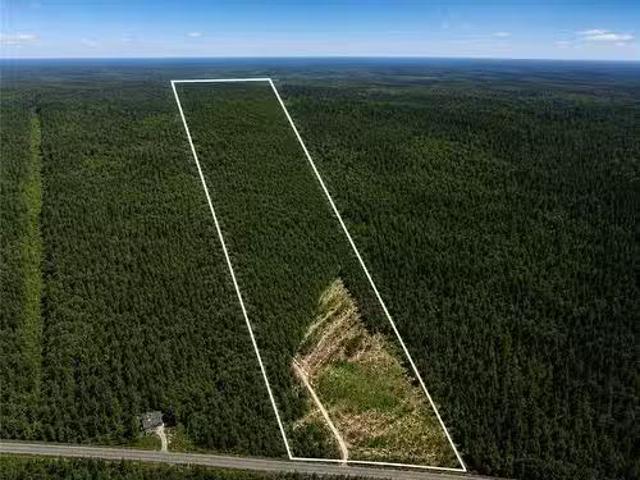 Lot 116 Highway, Harcourt, NB, E4T 2W9 vacant land for sale.