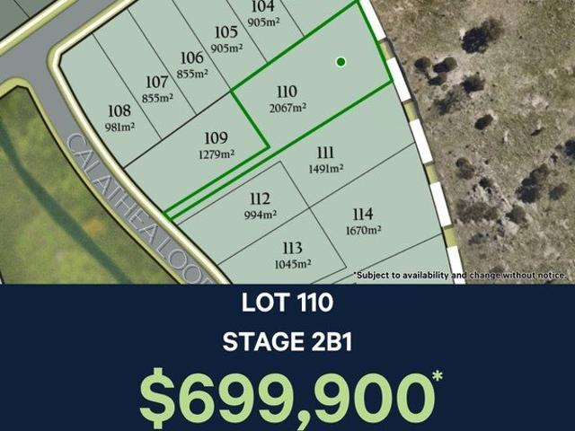 Lot 110