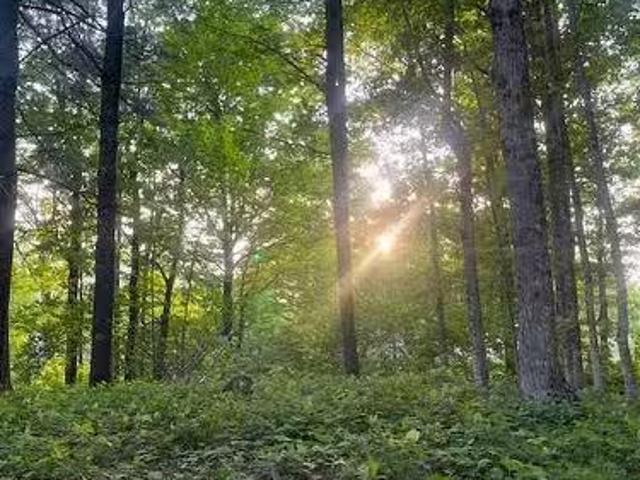 Lot 11 6 Route 105, Bear Island, NB, E6L 1H2 vacant land for.