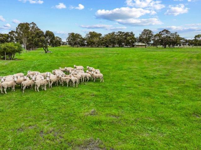 LOT 11, OLD PADTHAWAY ROAD, MUNDULLA