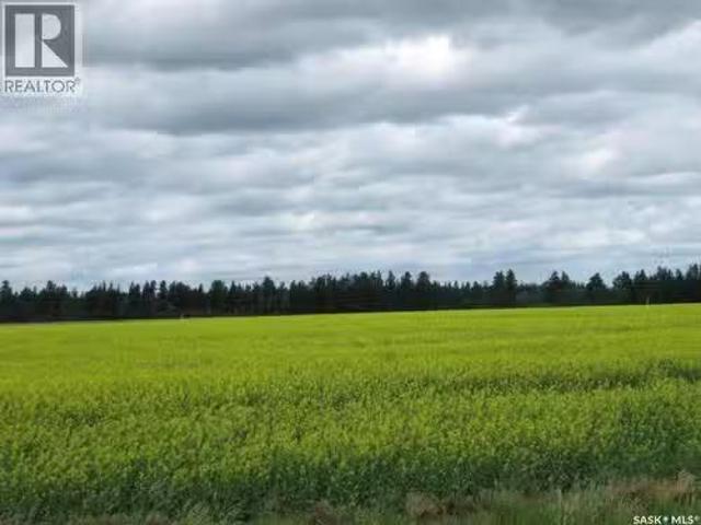 Lot 11 Parcel 3.41 Acres, Nipawin Rm No. 487, SK, S0E 1E0 va.