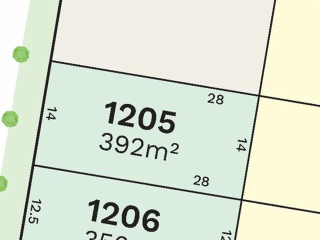 Lot 1205