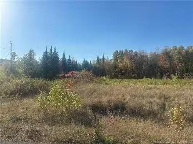 Lot 14 01 Crain Crt, Bulls Creek, NB, E7N 0B1 vacant land fo.