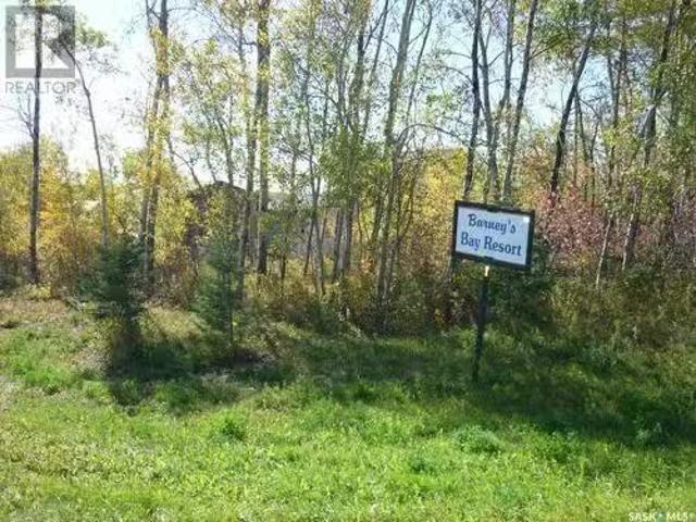 Lot 14 Barney'S Bay, Struthers Lake, Wakaw, SK, S0K 4P0 vaca.