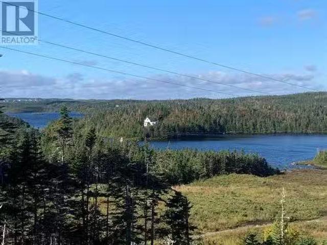 Lot 14 Halleran Trail, Brigus Junction, NL, A0B 1G0 vacant l.