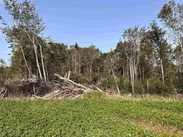 Lot 153 Windsor Drive, Stratford, PE, C1B 1N3 vacant land fo.