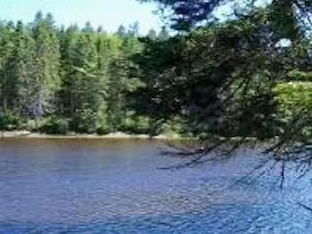 Lot 16 West Side Road, Country Harbour, NS, B0H 1J0 vacant l.