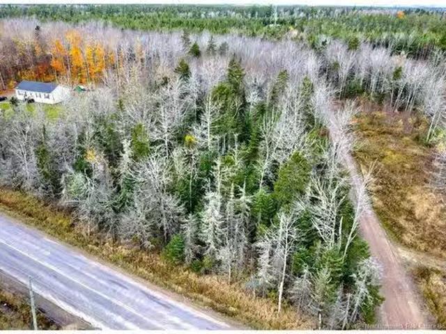 Lot 17 1 Niagara Rd, Lower Coverdale, NB, E1J 1H9 vacant lan.