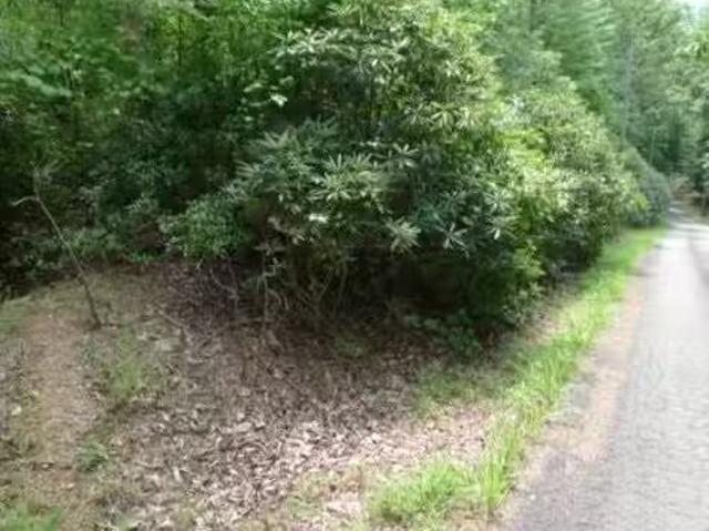 Lot 18 Mountain View Dr, Lowgap, NC 27024 MLS 1121598