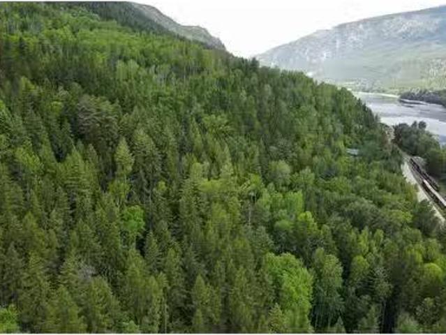Lot 1 9 Arrow Lakes Drive, Castlegar, BC, V1N 3N3 vacant l.