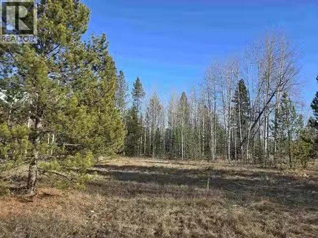 Lot 1 13Th Avenue, Valemount, BC, V0E 2Z0 vacant land for sa.