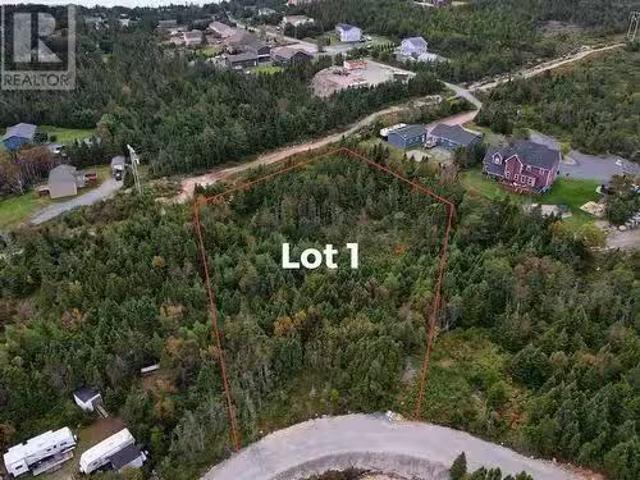 Lot 1 Beaver Pond Road, Cape Broyle, NL, A0A 1P0 vacant land.
