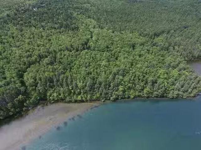 Lot 1 Brickyard Road, Albert Bridge, NS, B1K 2V5 vacant land.