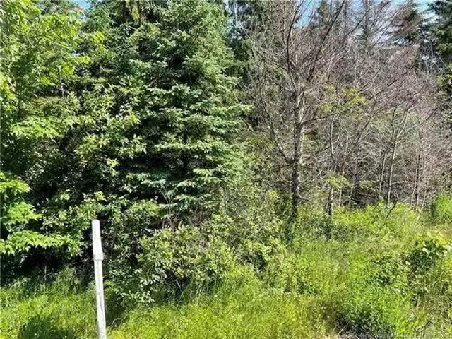 Lot 1 Communication Rd, Irishtown, NB, E1H 2G5 vacant land f.
