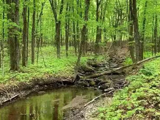 Lot 1 Colonial Road, Minden, ON, K0M 2K0 vacant land for sal.