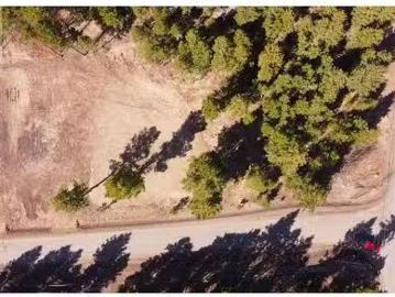 Lot 1 Gloinnzun Drive, 108 Mile Ranch, BC, V0K 2Z0 vacant la.