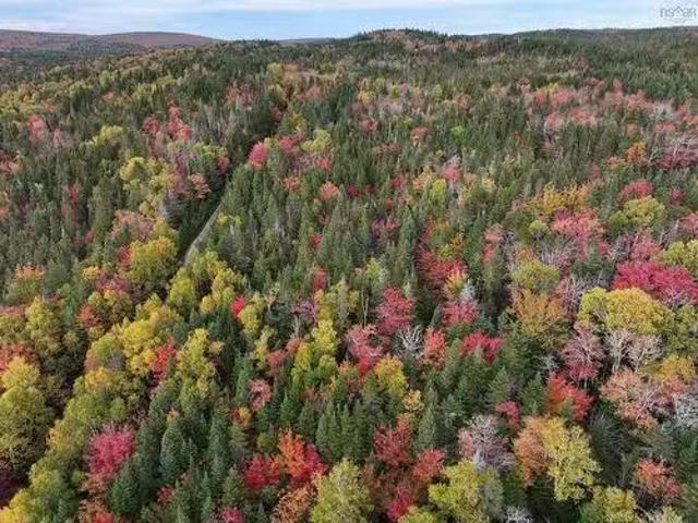 Lot 1 Highway 316, Country Harbour Mines, NS, B0H 1J0 vacant.