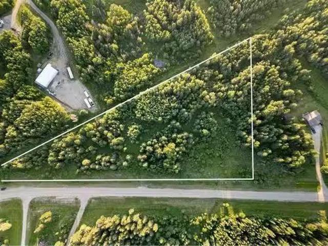 Lot 1 Mountain Springs, Rural Woodlands County, AB, T7S 1N9.
