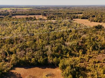 Lot 1 Oscar Rd, Greenwood, FL 32443 | MLS #784728