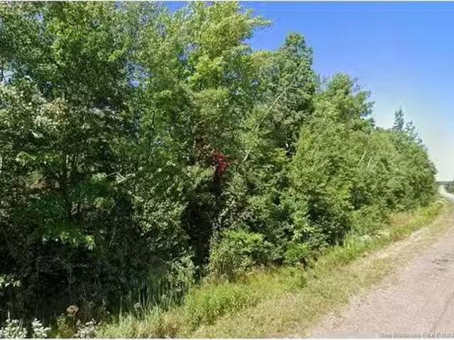 Lot 1 Route 530, Grande Digue, NB, E4R 5P8 vacant land for s.