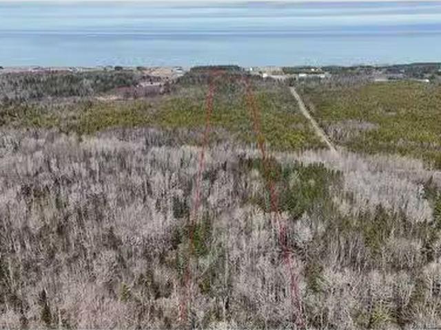 Lot 1 Route 11, Pokeshaw, NB, E2A 5R9 vacant land for sale.