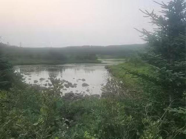 Lot 1 Stone Island Road, Calvert, NL, A0A 1N0 vacant land fo.