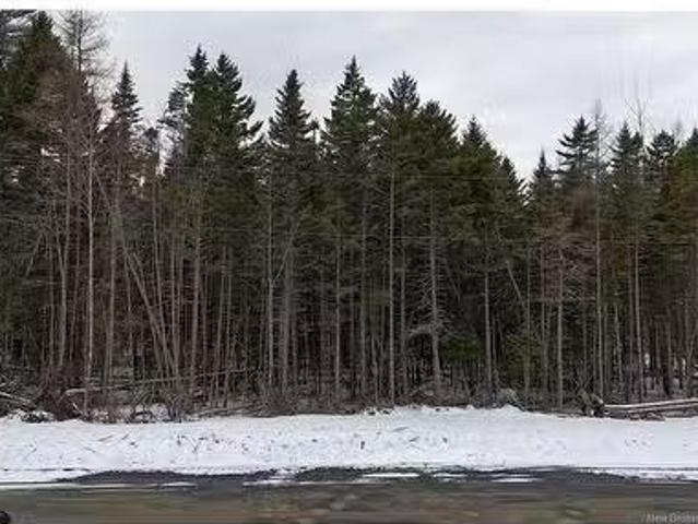 Lot 2024 20 Eagles Lane, Killarney Road, NB, E3G 9E2 vacant.