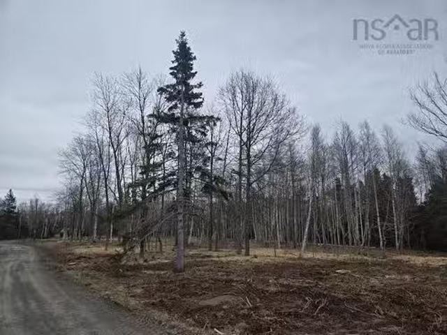 Lot 22 Birch Hill Lane, Caribou River, NS, B0K 1H0 vacant la.