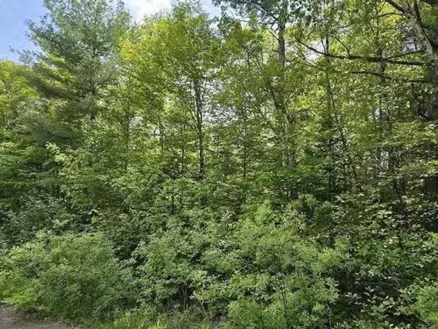 Lot 24 1 East Clifford Road, East Clifford, NS, B4V 7R8 vaca.