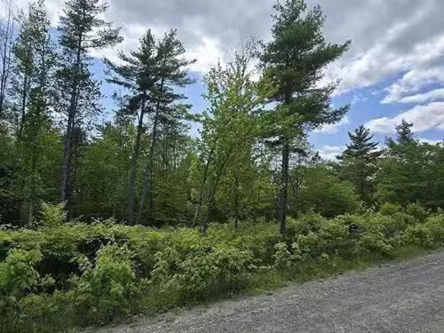 Lot 24 5 East Clifford Road, East Clifford, NS, B4V 7R8 vaca.