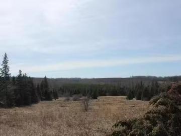 Lot 25 1 Dixon Road, Breadalbane, PE, C0A 1B0 vacant land fo.