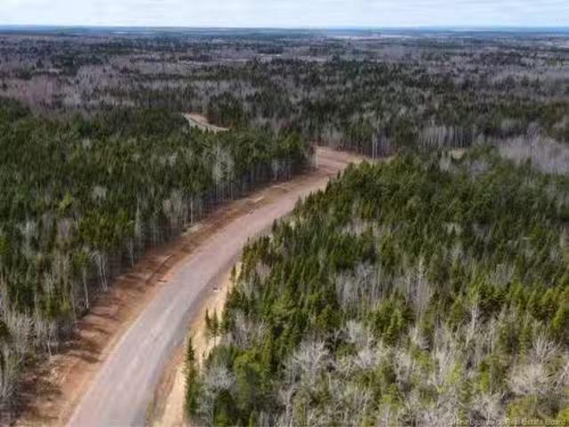 Lot 25 26 Kingsbury Crt, Lower Coverdale, NB, E1J 0E7 vacant.