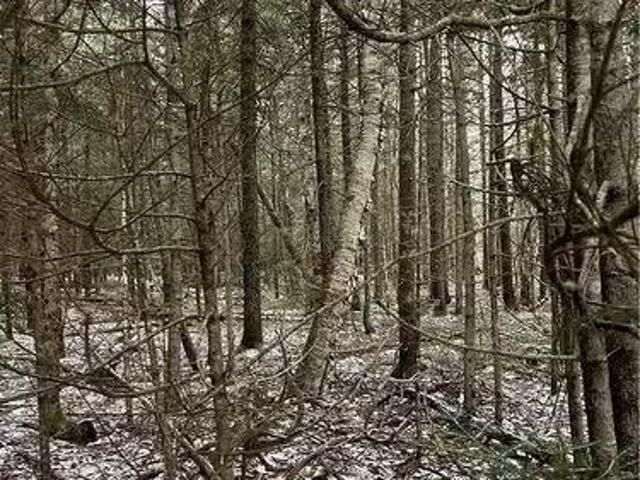 Lot 26 3 Backland Rd, Kingston, NB, E5N 1E2 vacant land for.