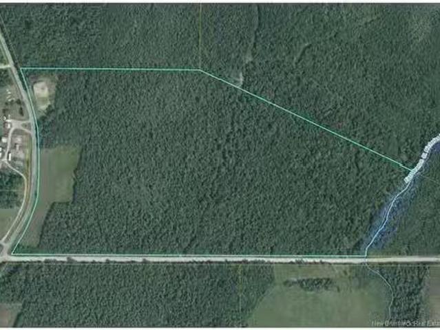 Lot 26 2 Route 495, South Branch, NB, E4W 3L3 vacant land fo.