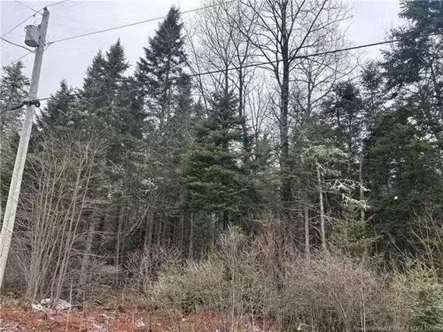 Lot 26 4 Backland, Kingston, NB, E5N 1E2 vacant land for sal.