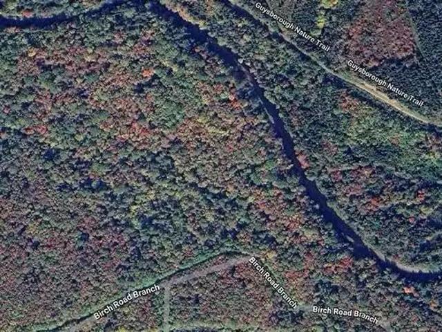Lot 28 Birch Road Branch, Ogden, NS, B0H 1N0 vacant land for.