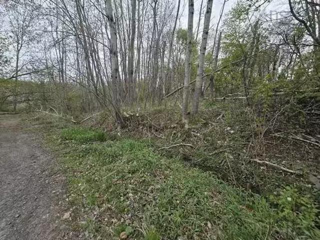 Lot 2 Brook Street, Trenton, NS, B0K 1X0 vacant land for sal.